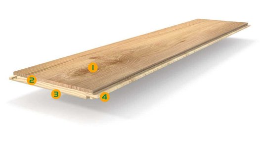 Parador Parkett Aufbau von Holz Fey mit den entsprechenden Schichten